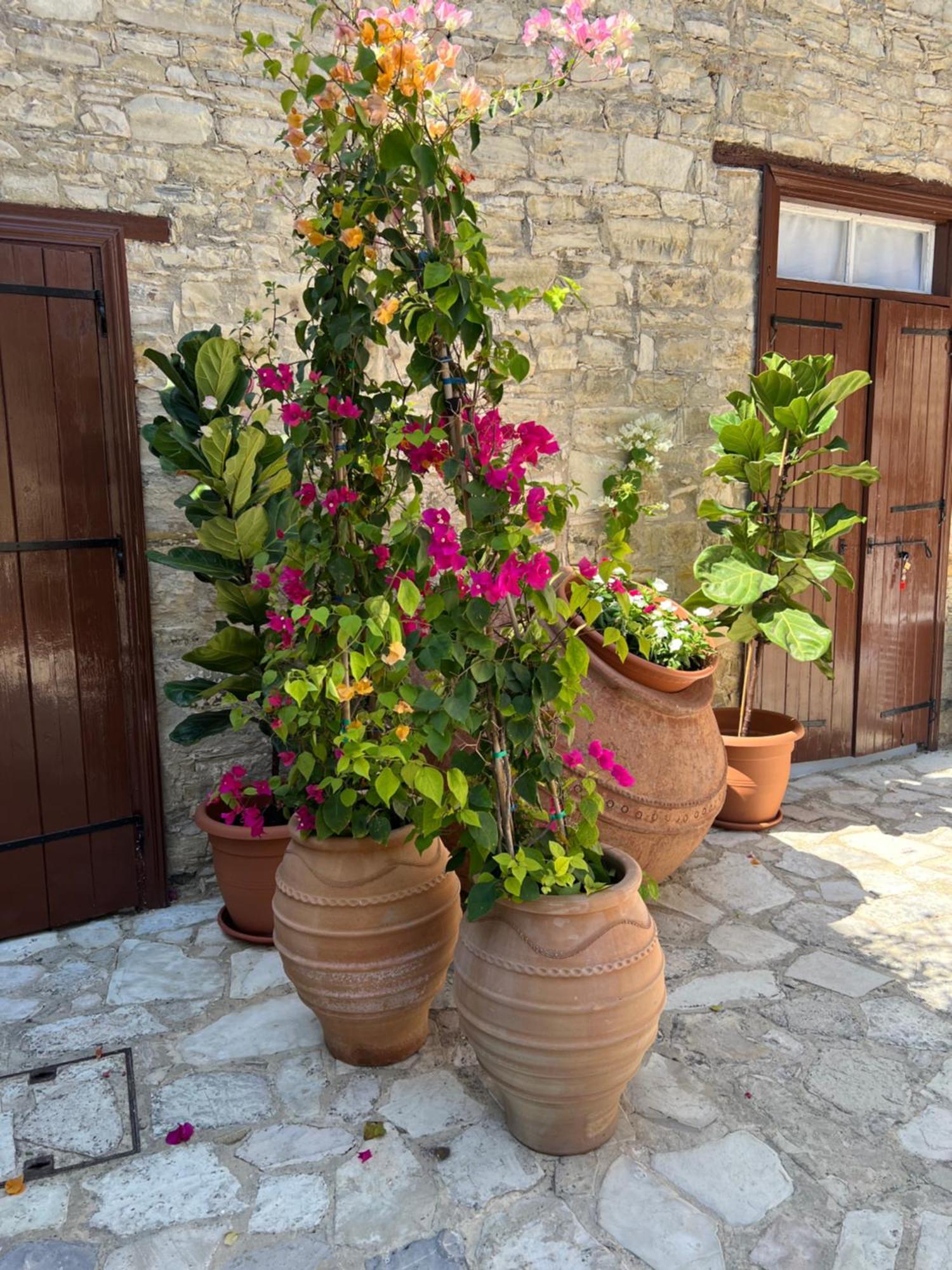 Theodorou Stone House Pano Lefkara Exterior photo